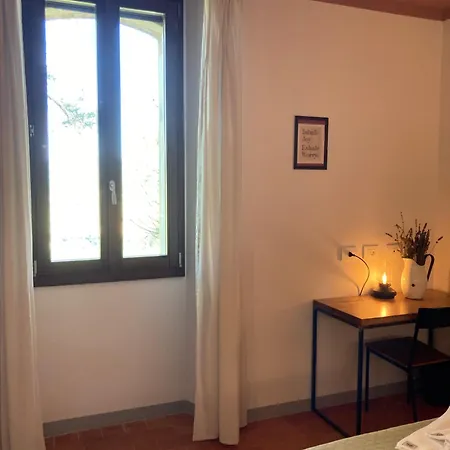 Casinello - For Outdoorsy