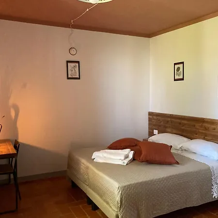 Casinello - For Outdoorsy *