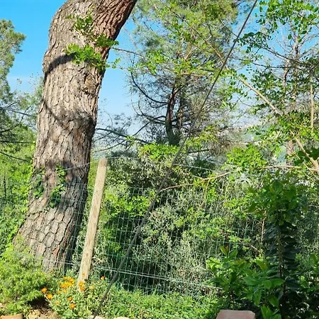 Casinello - For Outdoorsy * Casola Valsenio