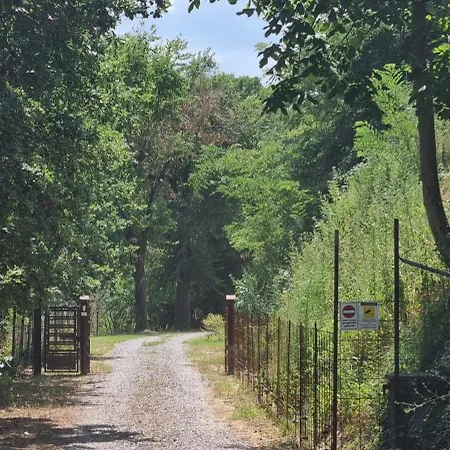 Casinello - For Outdoorsy Guest house Casola Valsenio