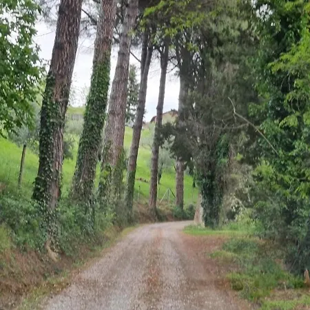 Casinello - For Outdoorsy Affittacamere Casola Valsenio