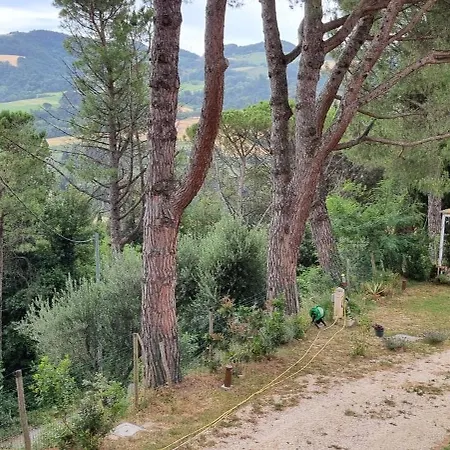 Casinello - For Outdoorsy *