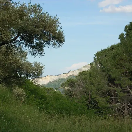 Casinello - For Outdoorsy *