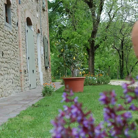 Guest house Casinello - For Outdoorsy Casola Valsenio