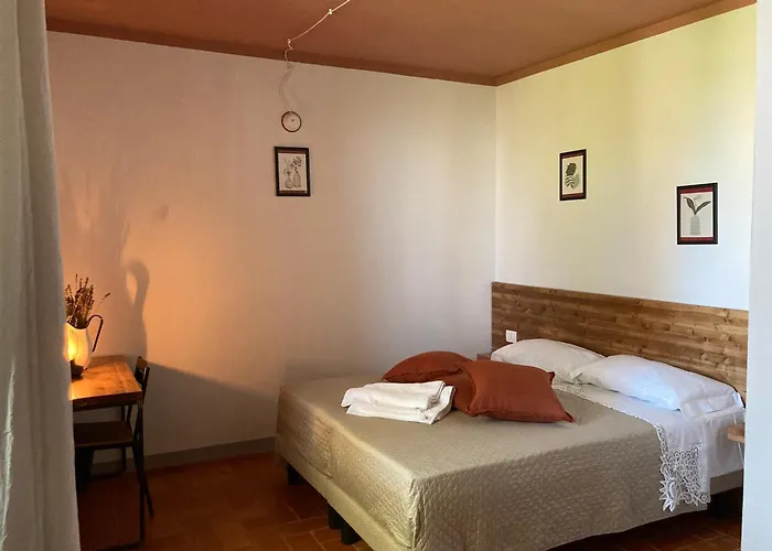 Casinello - For Outdoorsy *